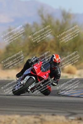 media/Feb-04-2023-SoCal Trackdays (Sat) [[8a776bf2c3]]/Turn 2 (1140am)/